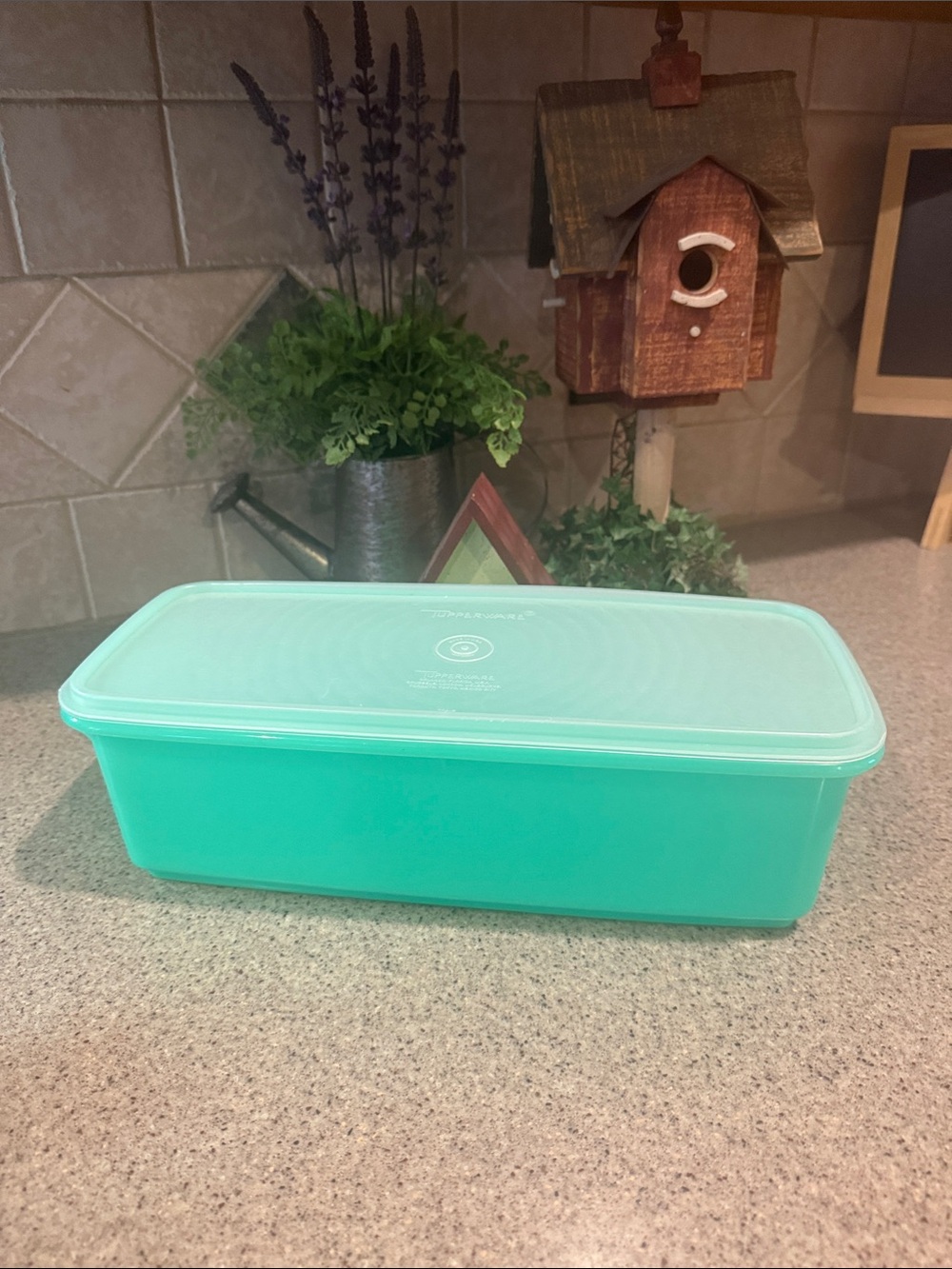 Tupperware Turquoise Rectangular Food Storage Container